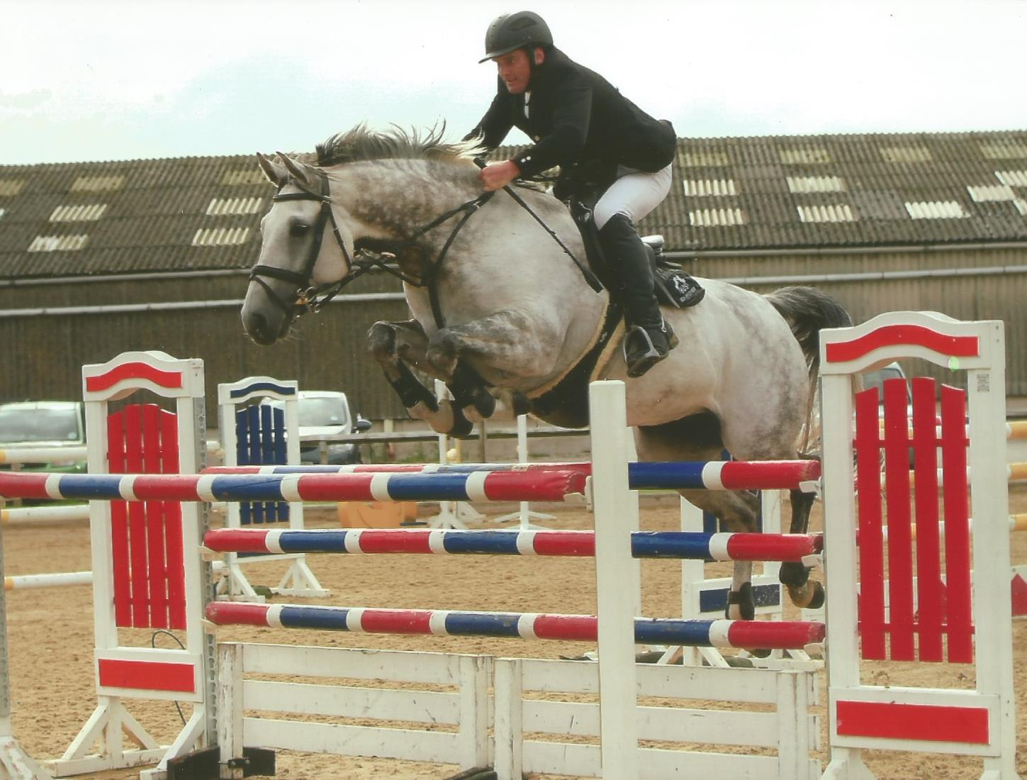 Competition Horse Insurance - Showjumpers / Dressage Horses / Eventers